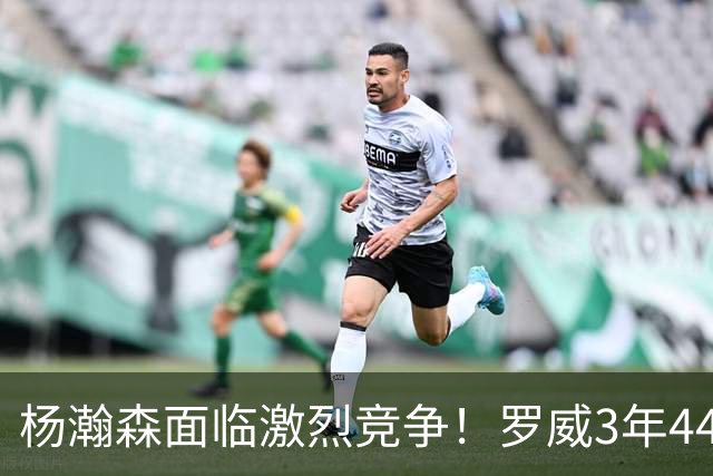 杨瀚森面临激烈竞争！罗威3年4400万美元续约开拓者